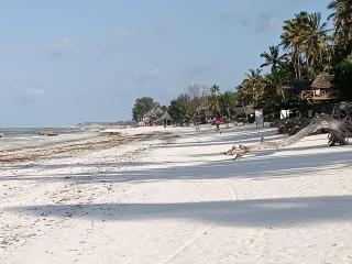Jambiani beach House - Jambiani - 3