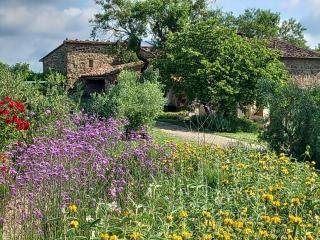 Peaceful Eco House in the Tuscan Hills - 2