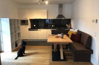 Kerstin 3 by SMR Rauris Apartments - inc Spa and near Gondola - Rauris - 6