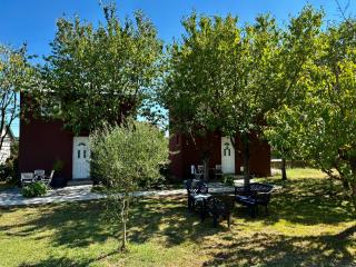 Tiny house 2 - Imanje Terzic - Podgorica - 5