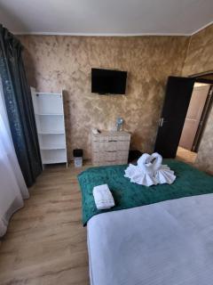 Casa Ratiu 3 Stele Airport Bucharest Therme Bucharest - 4