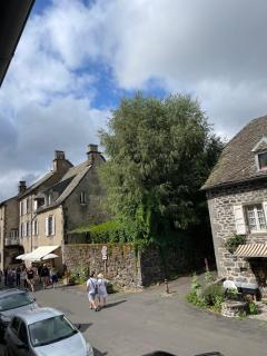 Gite Chez Manon et Pierre Salers - Salers - 8