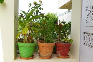 Sivan Paadham Nilayam Guest House - 1