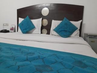 Hotel Mandakini - New Delhi - 5