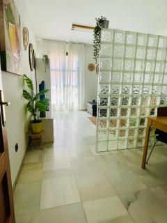 GreenHouse, casco Histórico de Málaga - Málaga - 7