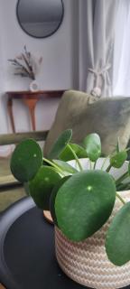 Saint Margaret's Guest House - Poole - 3