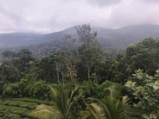 ellickall homestay calvarymount - 3