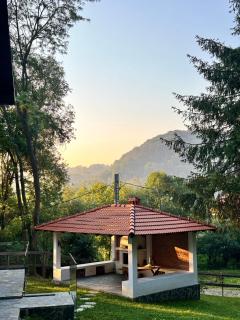 Forest House Retreat - Curtea de Argeş - 4