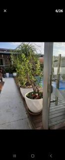 Casa JB - 8