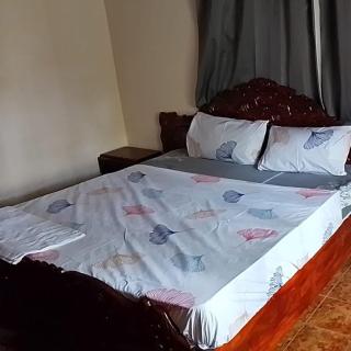 Afonta's Greenhouse Retreat - - 9