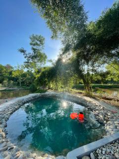 Thỏ House - - 5