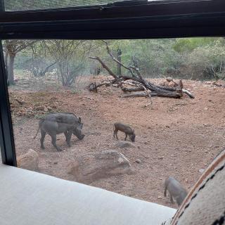 Rock'N Round Marloth - Marloth Park - 1