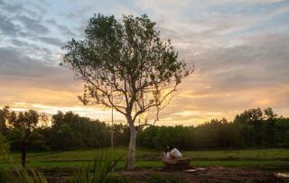 Thỏ House - - 8
