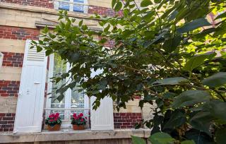 Charmante Maison De Ville - 9