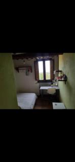 B&B Beccafumi - Siena - 6