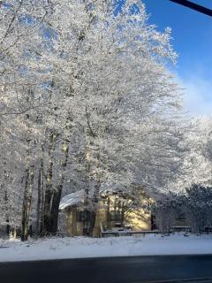 Beech Mountain Swiss-style Chalet - 8