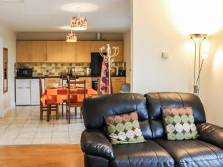 Arenig - Uk48508 - Bala - 8
