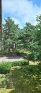 Apartamentai Smilga - Nida - 1