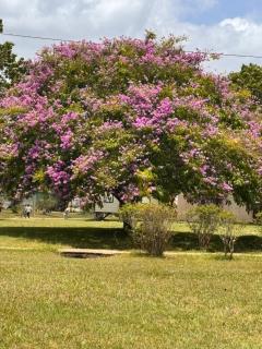 EL REY Hotel & Restaurant - Belmopan - 6