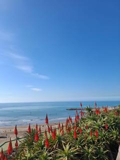 Departamento Premium Colon y Güemes - Mar del Plata - 6