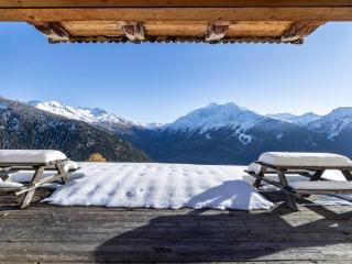 Chalet spacieux proche pistes avec terrasse sud - FR-1-690-29 - 6