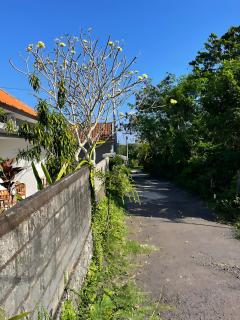 Orange Guest House - 4