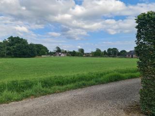 B&B het Zandoogje - Hollandscheveld - 7
