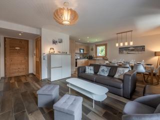 Duplex de standing 3 étoiles à Morzine, 100m des pistes, 9 pers., terrasse, garage, wifi inclus - FR-1-754-20 - Morzine - 0