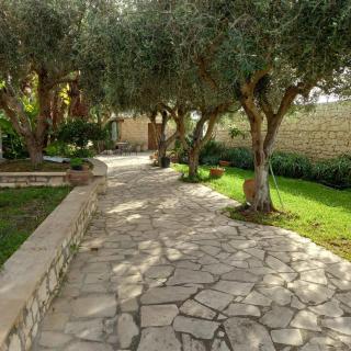 Villa VerdeMare Pool-Sea 300m-Nature Reserve - Plaia Grande - 2