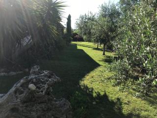 villa Shiva - Guest - Cerveteri - 3