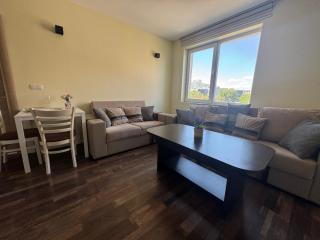 63rd Luxury One Bedroom Apartment - 8