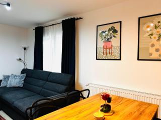 Spacious apartment - 2 bedrooms, 1 living, 2 baths - Vatra Dornei - 8