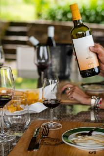 Quinta de Santa Júlia - Peso da Régua - 6
