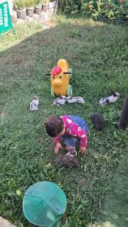 Manan Guesthouse - 1