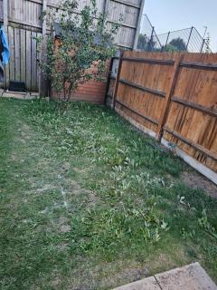 Fabulous Room in Dartford R1 - Dartford - 2