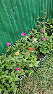 Manan Guesthouse - Chʼkalovka - 0