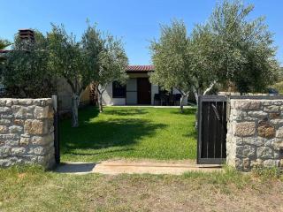 Olive Yard Toroni - Toroni - 0