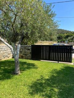 Olive Yard Toroni - 3