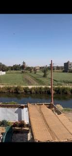 Paradise Apartments - 6