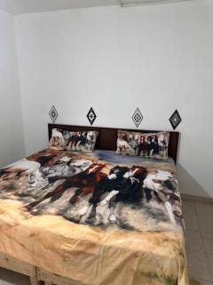 La herradura norteña - Torreón - 7