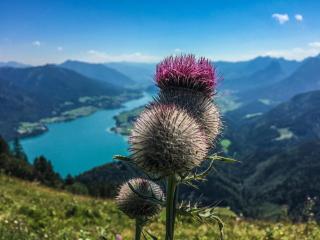 Berningerhof - Sankt Wolfgang im Salzkammergut - 9