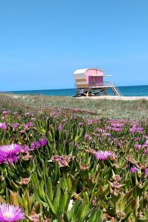 Appartement T2 dans village Naturiste en bord de mer - 9