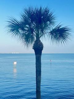 Celestial Sunsets Monthly Vacation Rental with 3-Mo Minimum - 8