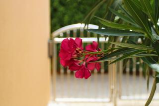 Holiday house " Lada " - 7