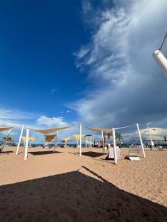 PalmBeach - Chok-Tal - 8