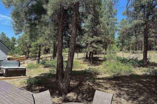 195 Wilderness - 5