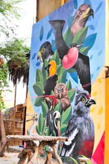 Bird House Mancora - Máncora - 7