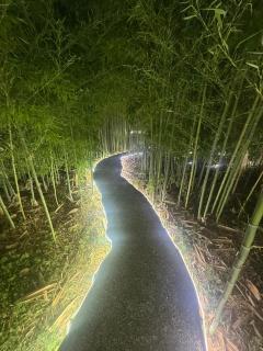 Tanabata logde - 5