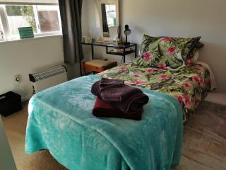 Professional, quiet and cosy bedroom Close to town and to Waikato Hospital - 0