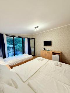 Four Rooms - Lagodekhi - 4